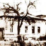 kui1_0