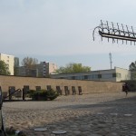 IMG_6957