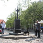 IMG_6968