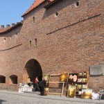 IMG_6973