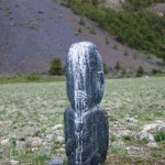 mongolsapar9