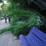 IMG_0024