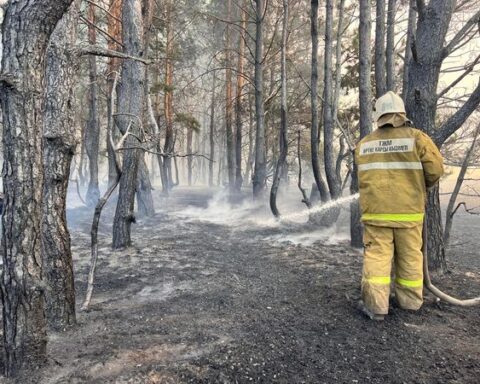 Олжас Беркінбаевтың Фейсбук парақшасынан алынды