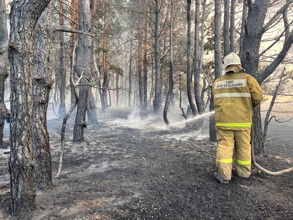 Олжас Беркінбаевтың Фейсбук парақшасынан алынды